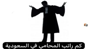 تفاصيل راتب المحامين في السعودية 1447 حسب الخبرة والتعليم